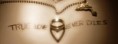 /album/insolite/love-true-love-never-dies-jpg/